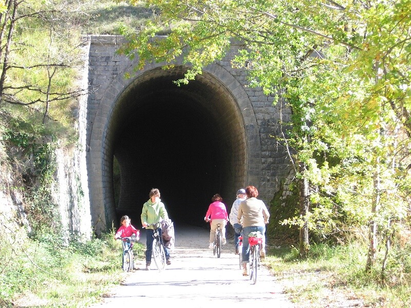 50+ 1 fietsen