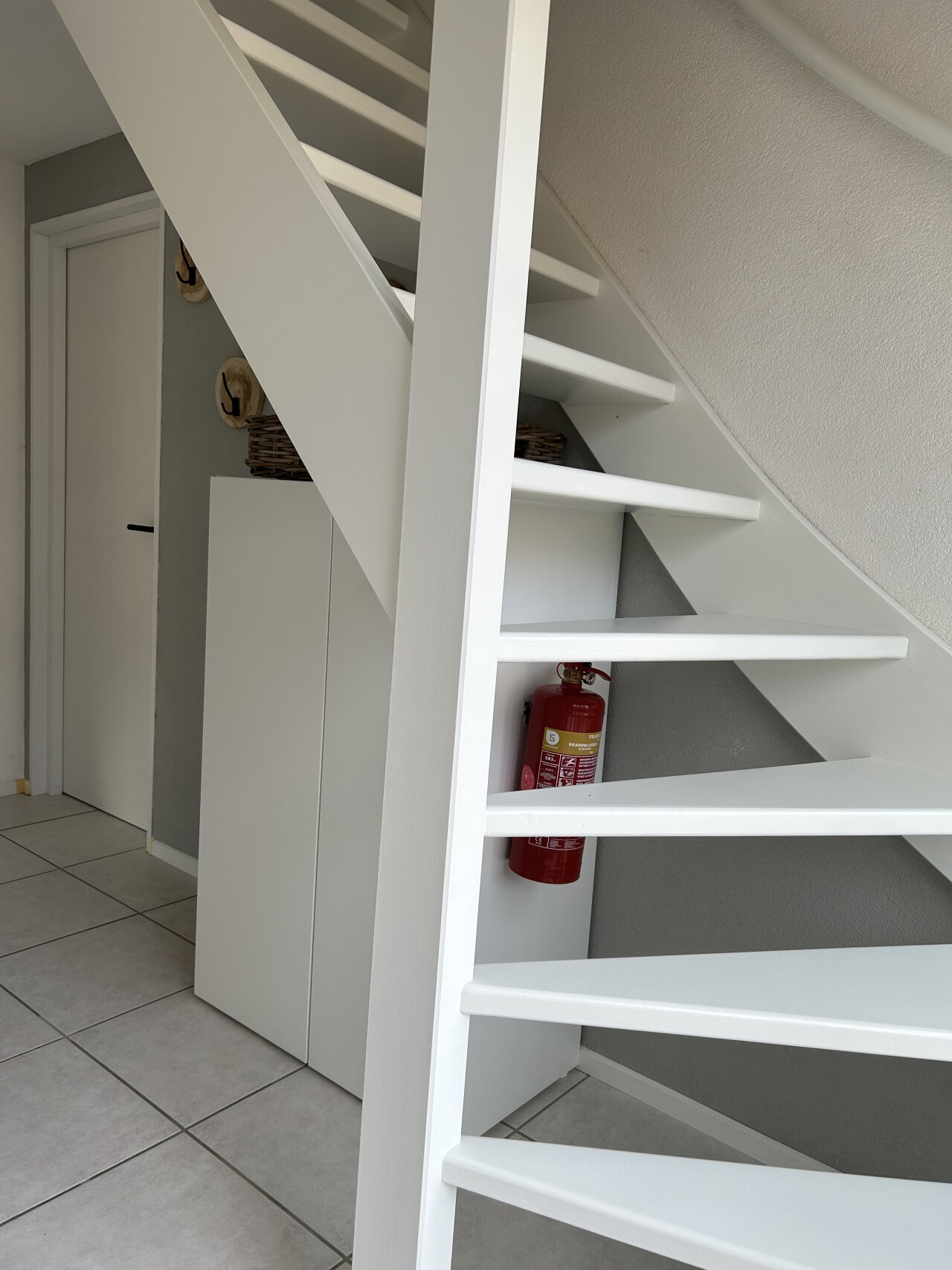 IMG 1181