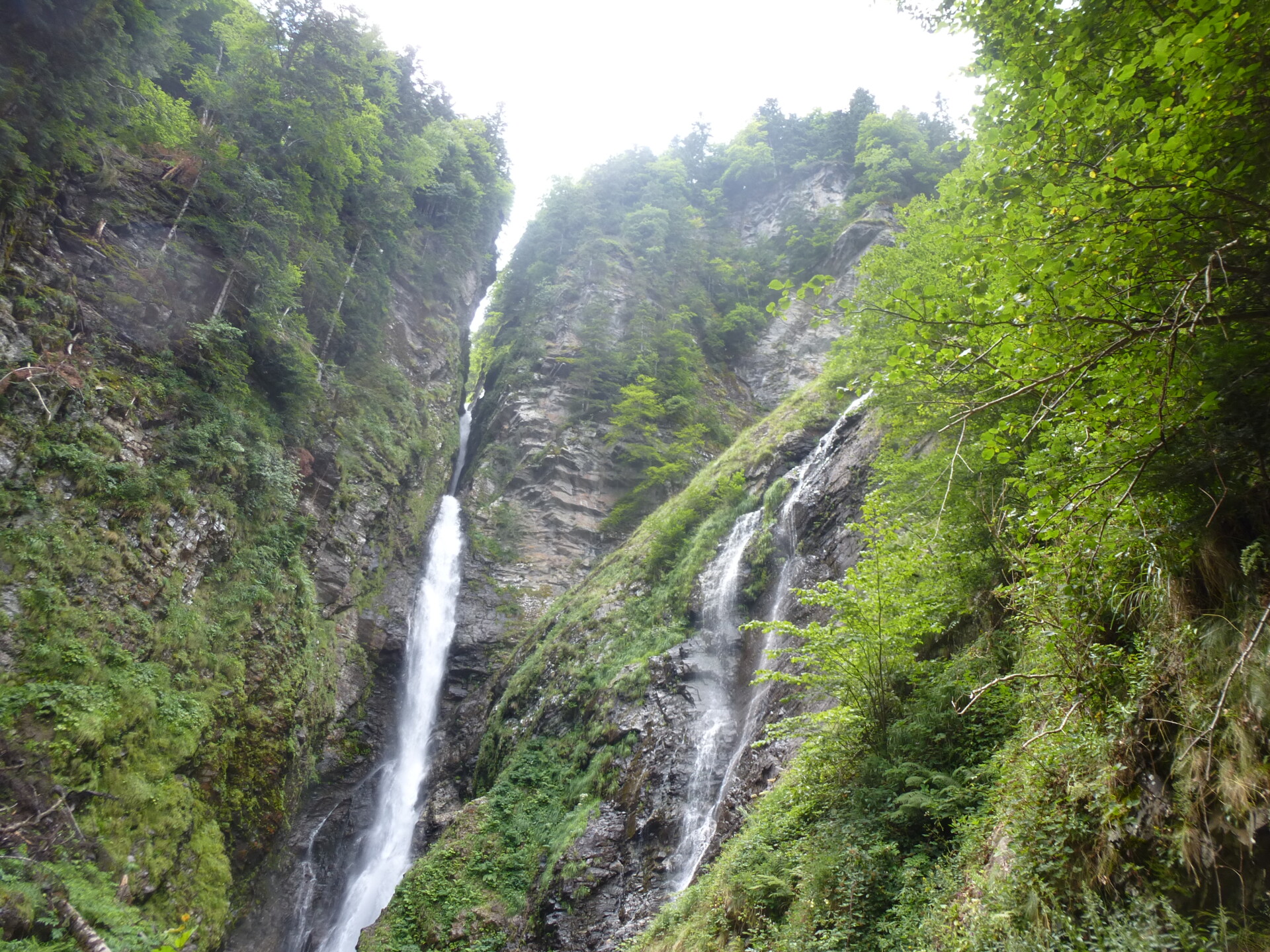 P1080305